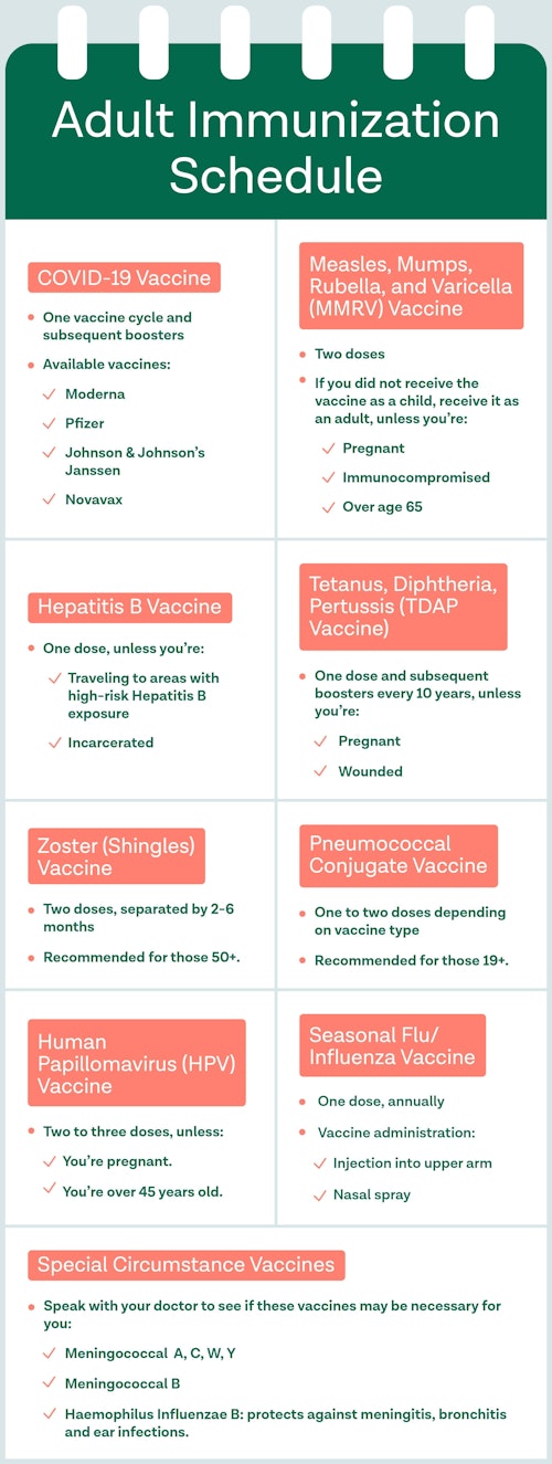 schedule describing various vaccines needed while aging and when to receive them