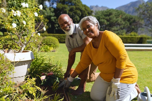 Older couple gardening in the yard