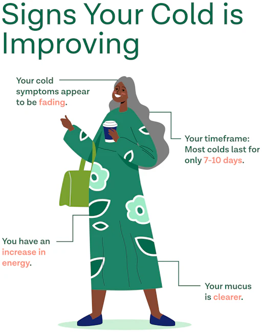 T Cold 4 Signs Your Cold is Getting Better: Everything You Need To Know | Oak ...