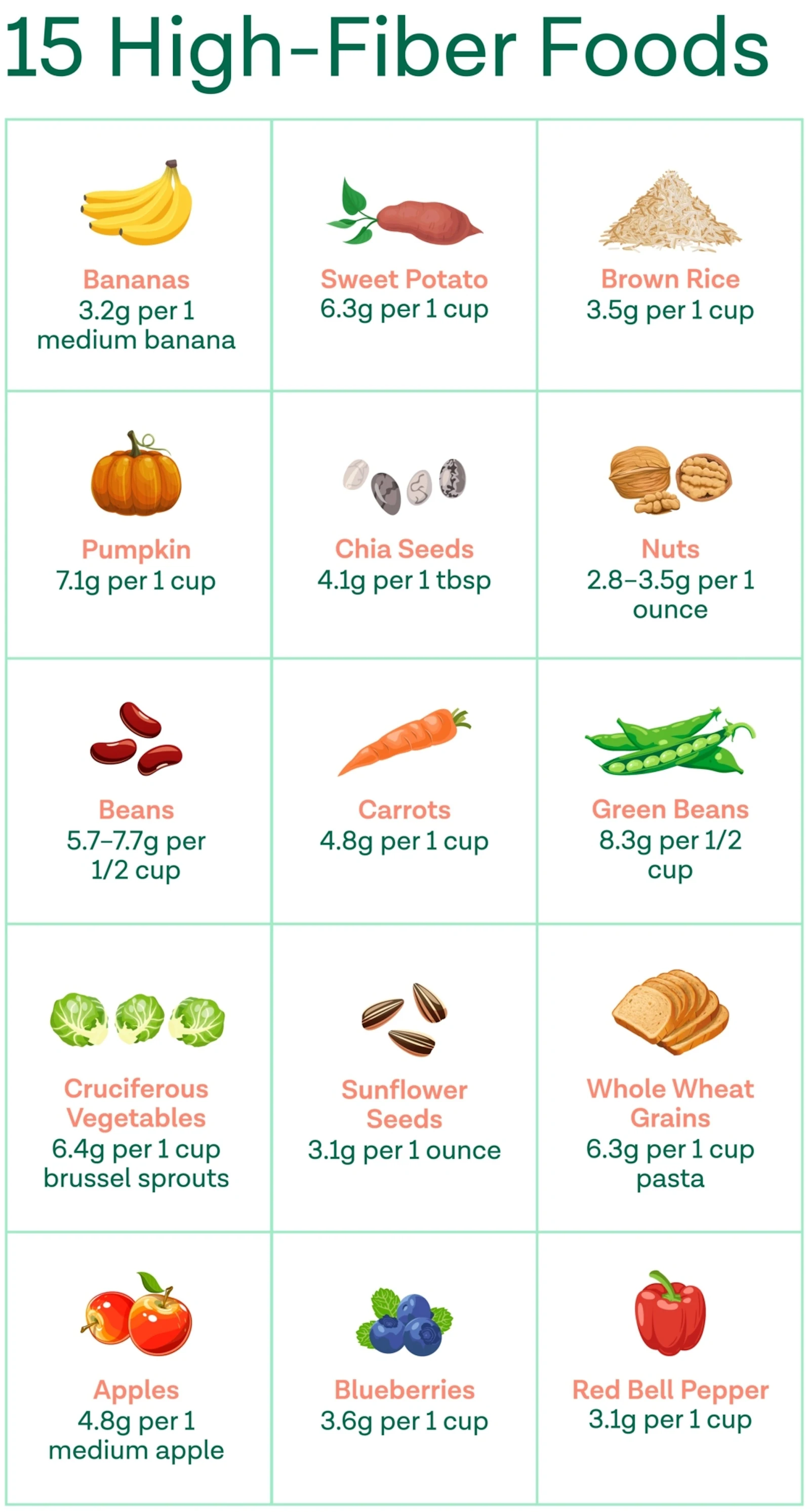 Diagram of high-fiber foods to include in your diet