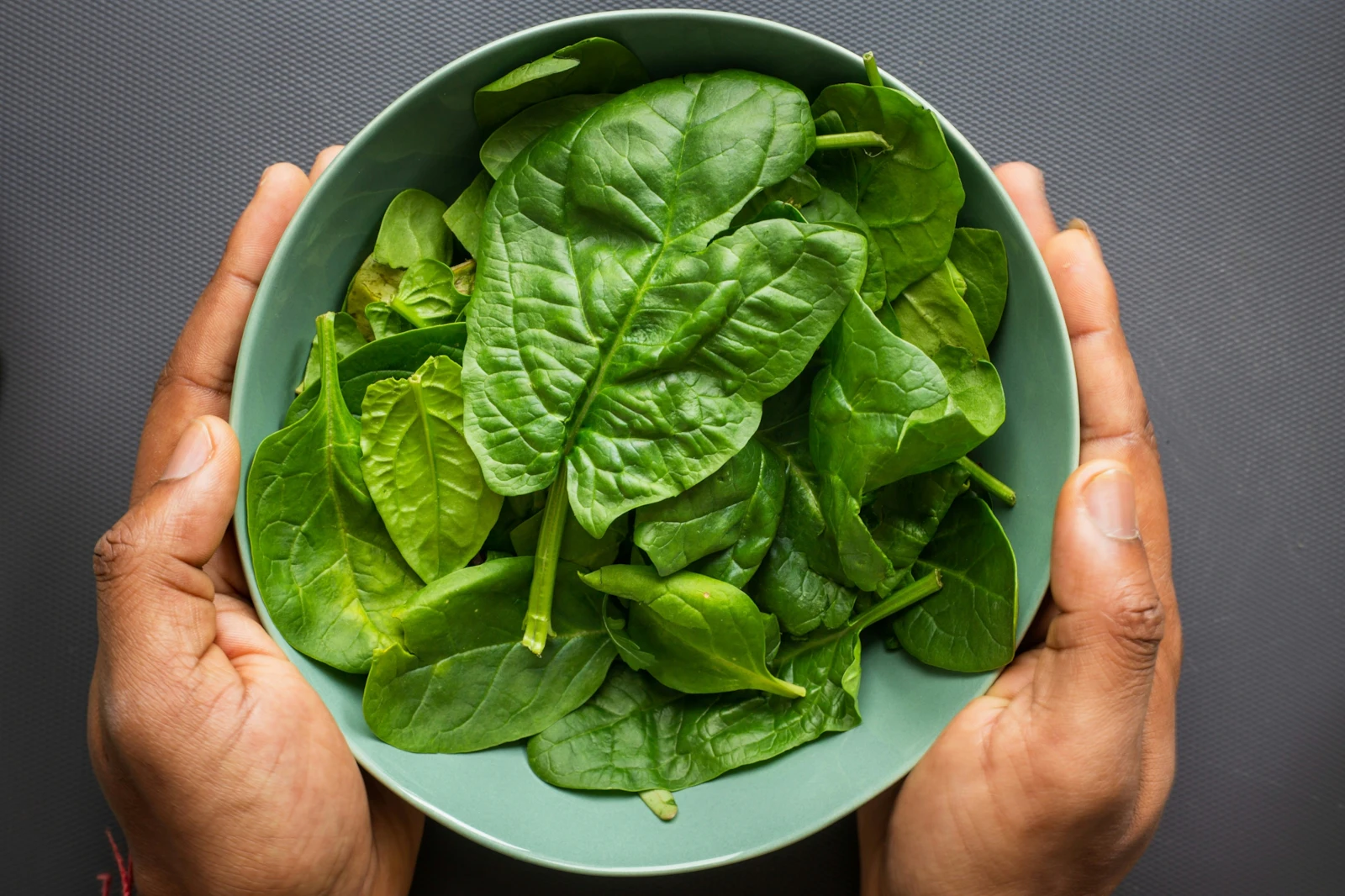 Older hands blue bowl fresh spinach leaves