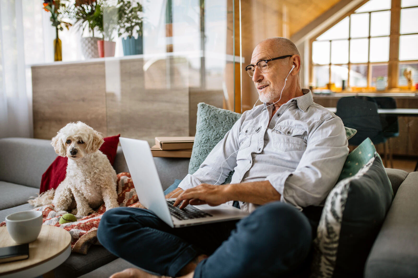 senior man sitting with laptop and dog on couch